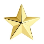 Золотая звезда на погоны 040045-2