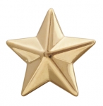 Накладка на погоны Звезда из золота